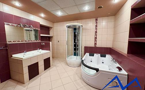 Prodej bytu 3+1 155 m², Ostravská, Český Těšín, okres Karviná