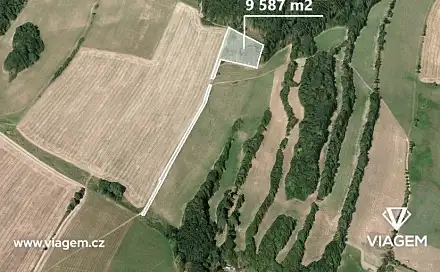 Prodej lesa 9 587 m², Liptaň, okres Bruntál