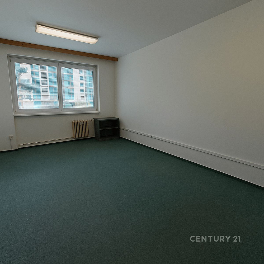 Pronájem kanceláře 18 m² – fotografie 3