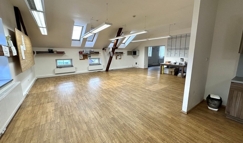 Prodej obchodních prostor 1 076 m², Lutonina – náhled fotky 19