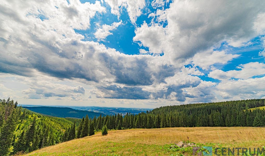 Prodej chaty/chalupy 1 087 m² s pozemkem 33 716 m², Strážné – náhled fotky 21
