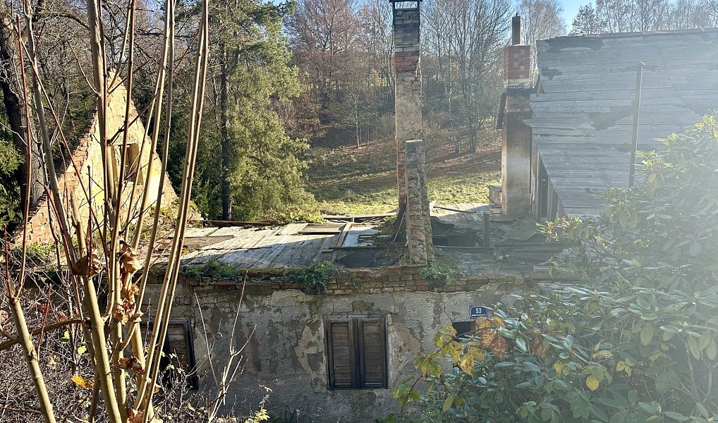 Prodej domu 100 m² s pozemkem 735 m², Dolní Poustevna – náhled fotky 3