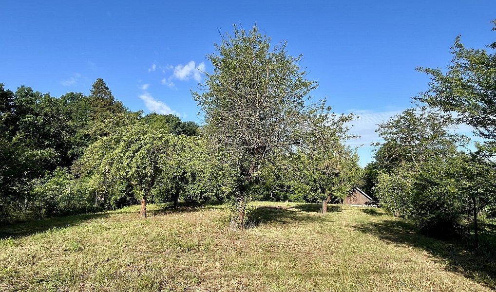 Prodej chaty/chalupy 26 m² s pozemkem 2 023 m², Zdiby – náhled fotky 4