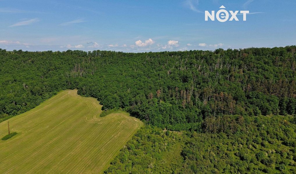 Prodej lesa 3 149 m², Chrustenice – náhled fotky 16