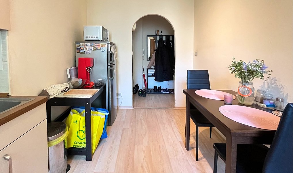 Pronájem bytu 2+1 54 m², Brno – náhled fotky 11