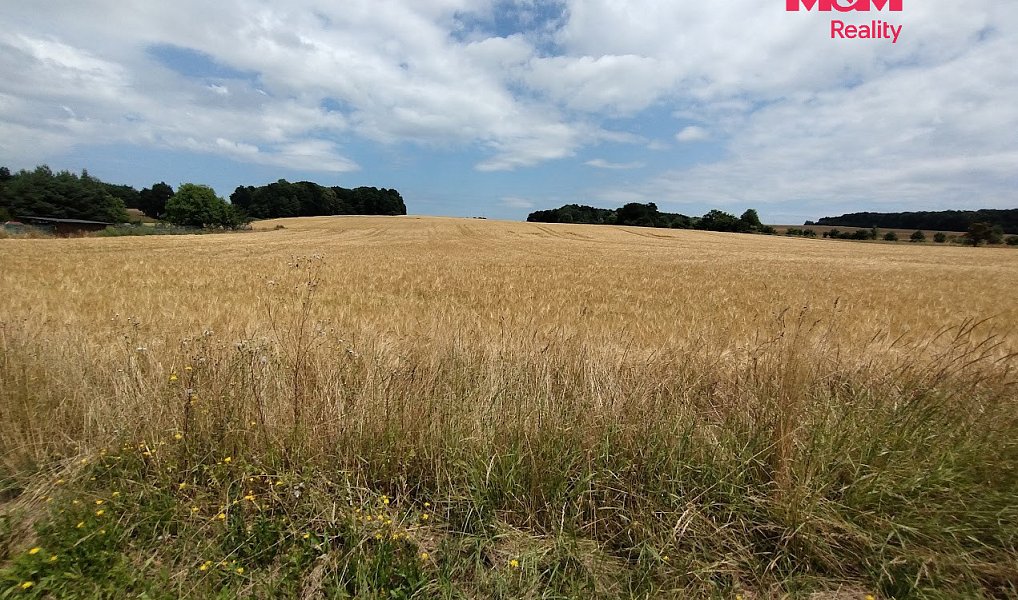 Prodej stavebního pozemku 1 600 m², Stará Ves nad Ondřejnicí – náhled fotky 2