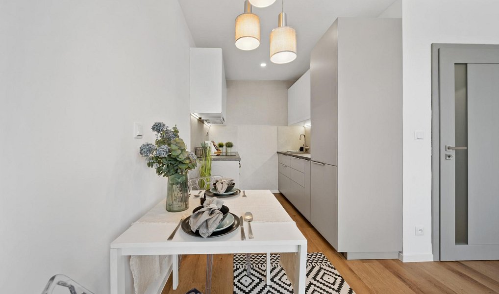 Prodej bytu 2+kk 46 m², Brno – náhled fotky 2