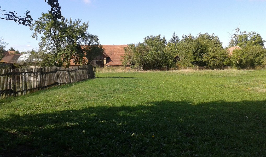 Pronájem zahrady 1 555 m², Městec Králové – náhled fotky 4