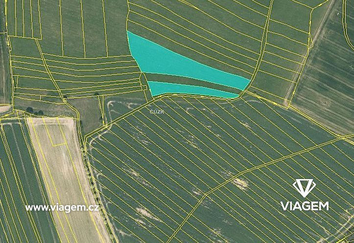 Pole 16 544 m², Podíl 25 % o výměře 4 136 m² – pohled 3