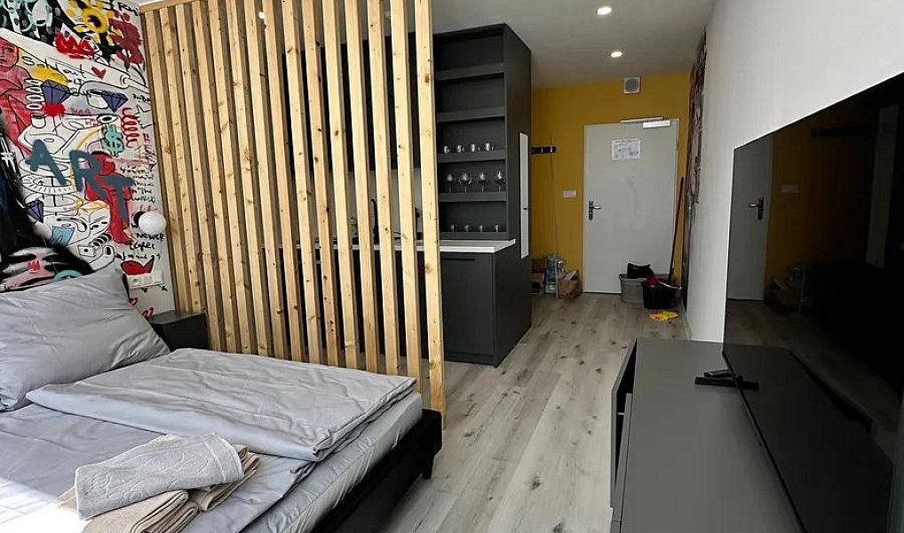 Pronájem bytu 1+kk 24 m², Praha – náhled fotky 9