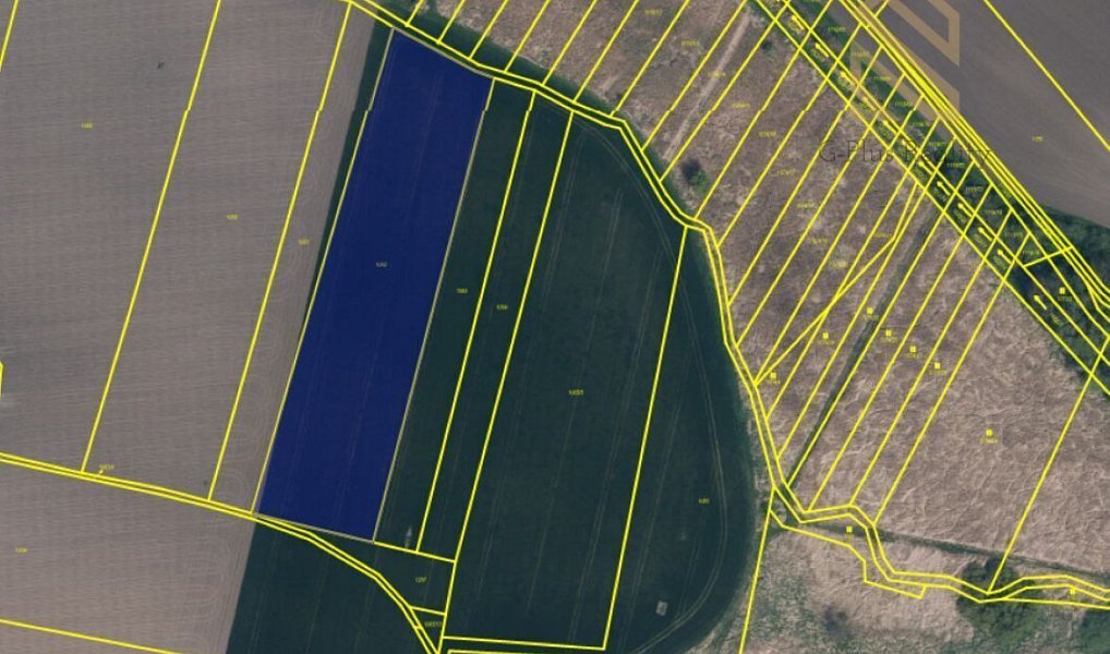 Prodej pole 7 211 m², Vrbice – náhled fotky 2
