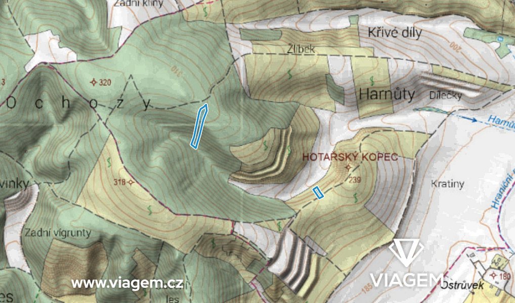 Prodej lesa 2 323 m², Brumovice – náhled fotky 3