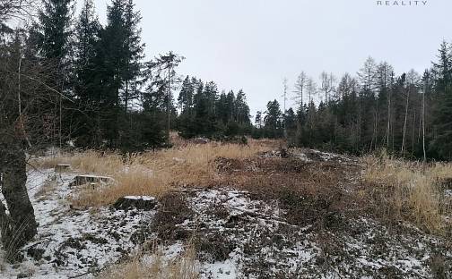 Prodej lesa 9 012 m², Votice - Hory, okres Benešov