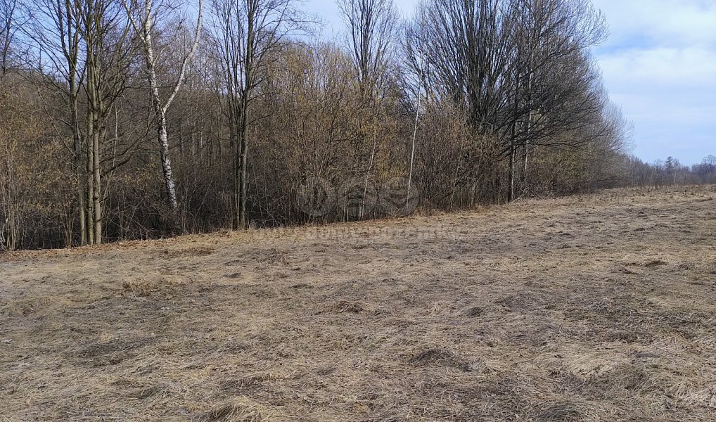 Prodej stavebního pozemku 1 920 m², Dolní Moravice – náhled fotky 3