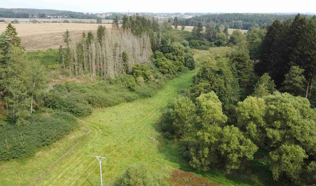 Prodej pole 58 887 m², Tachov – náhled fotky 7