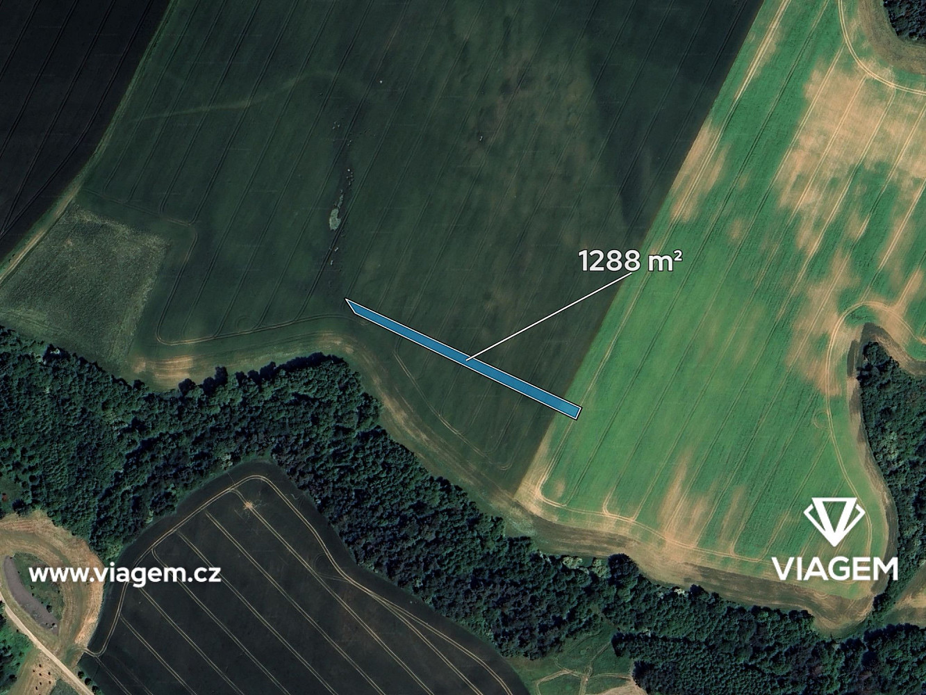 Prodej pole 1 288 m² – pohled 2