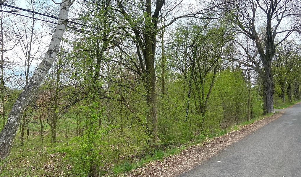 Prodej komerčního pozemku 1 420 m², Karlovy Vary – náhled fotky 4