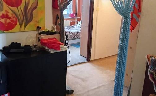 Prodej bytu 2+kk 48 m², Otavská, České Budějovice - České Budějovice 2