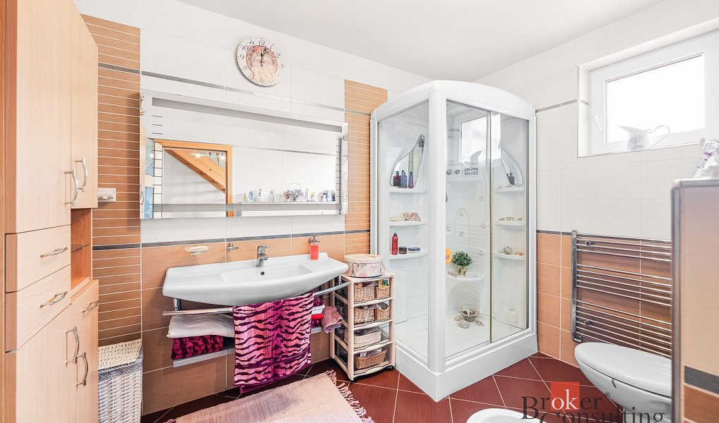 Prodej domu 322 m² s pozemkem 1 262 m², Plzeň – náhled fotky 11
