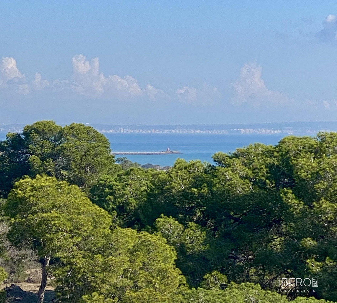 Piso 3+kk – Guardamar del Segura - Vista 3