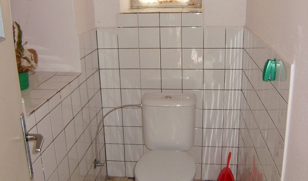 Prodej domu 100 m² s pozemkem 6 962 m², Jenišovice – náhled fotky 8