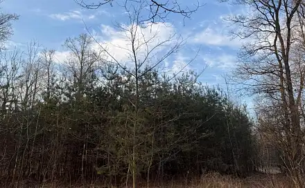 Prodej pozemku 8 147 m², Stéblová - Čivice