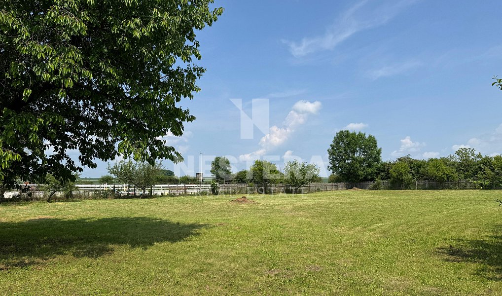 Prodej domu 90 m² s pozemkem 4 430 m², Chotěšice – náhled fotky 20