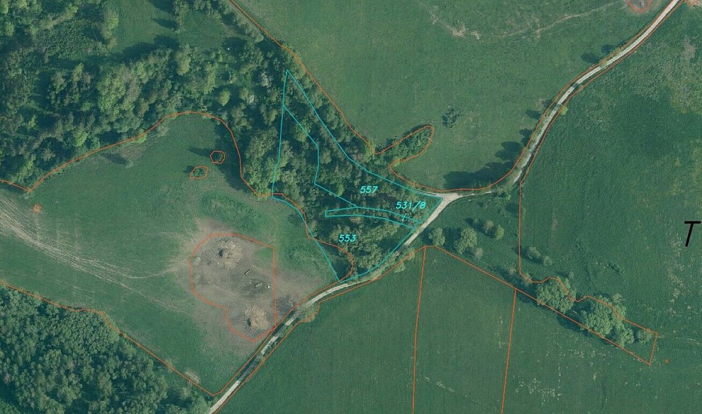 Prodej pozemku 10 042 m², Horní Dvořiště – náhled fotky 4