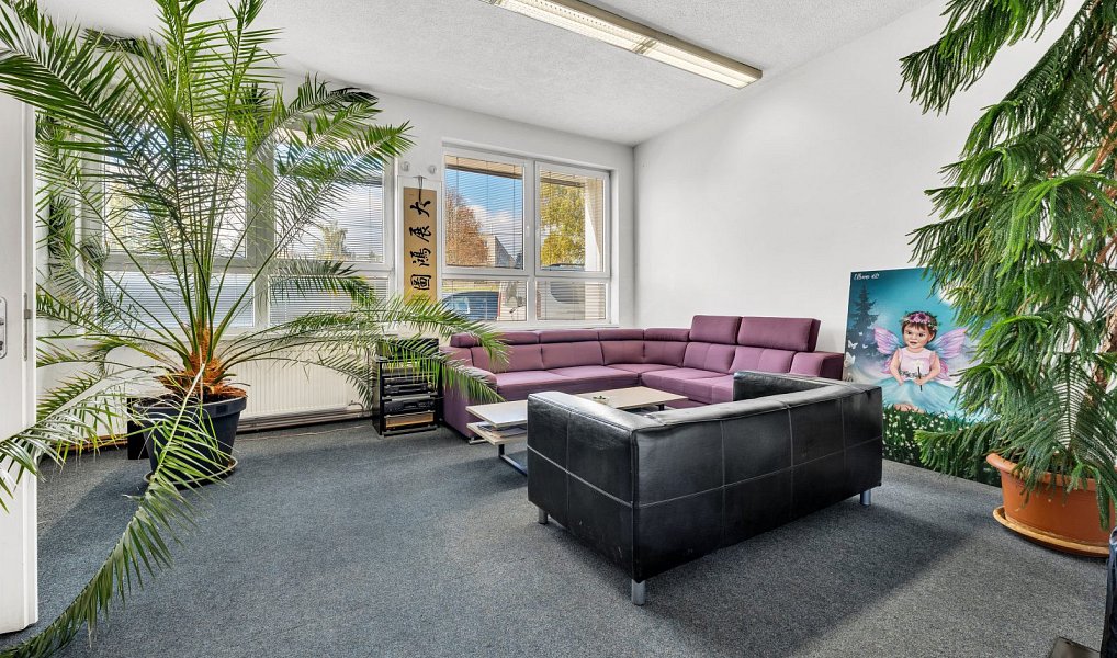 Pronájem skladovacích prostor 800 m², Letkov – náhled fotky 2