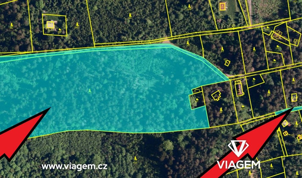 Prodej lesa 15 401 m², Frýdlant nad Ostravicí – náhled fotky 2