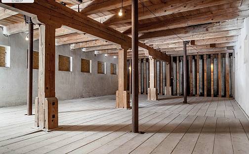 Prodej chaty/chalupy 450 m² s pozemkem 298 m², Osvobození, Dymokury, okres Nymburk