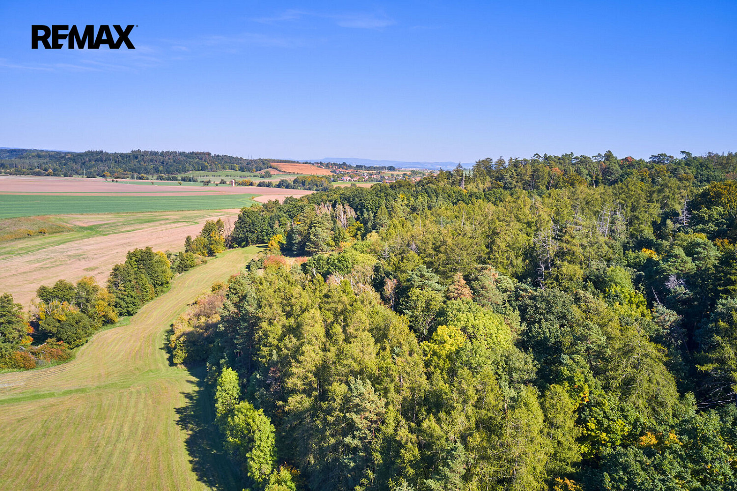 Prodej lesa 31 440 m² – fotografie 2