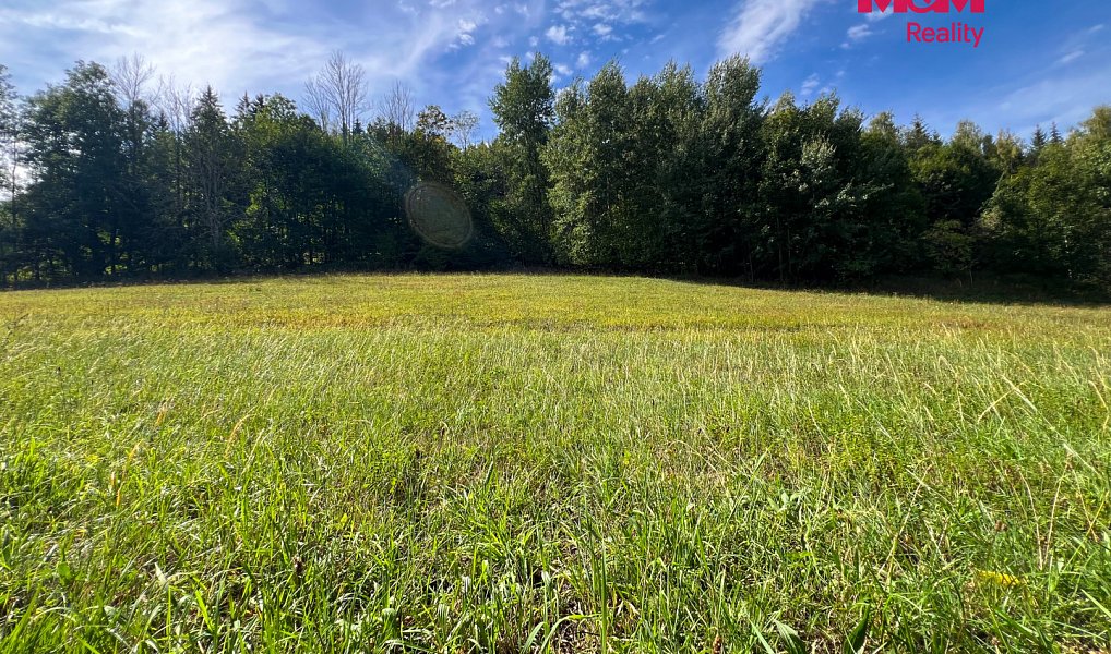 Prodej stavebního pozemku 5 047 m², Záblatí – náhled fotky 6
