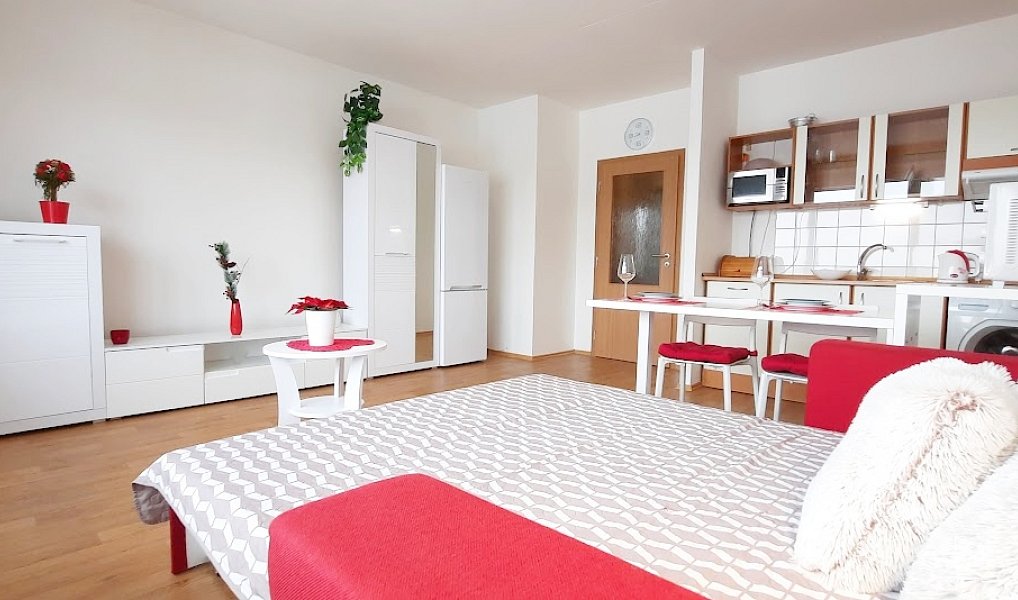 Pronájem bytu 1+kk 38 m², Brno – náhled fotky 4