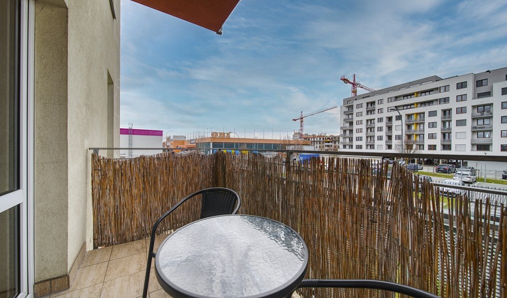 Pronájem bytu 1+kk 30 m², Plzeň – náhled fotky 9