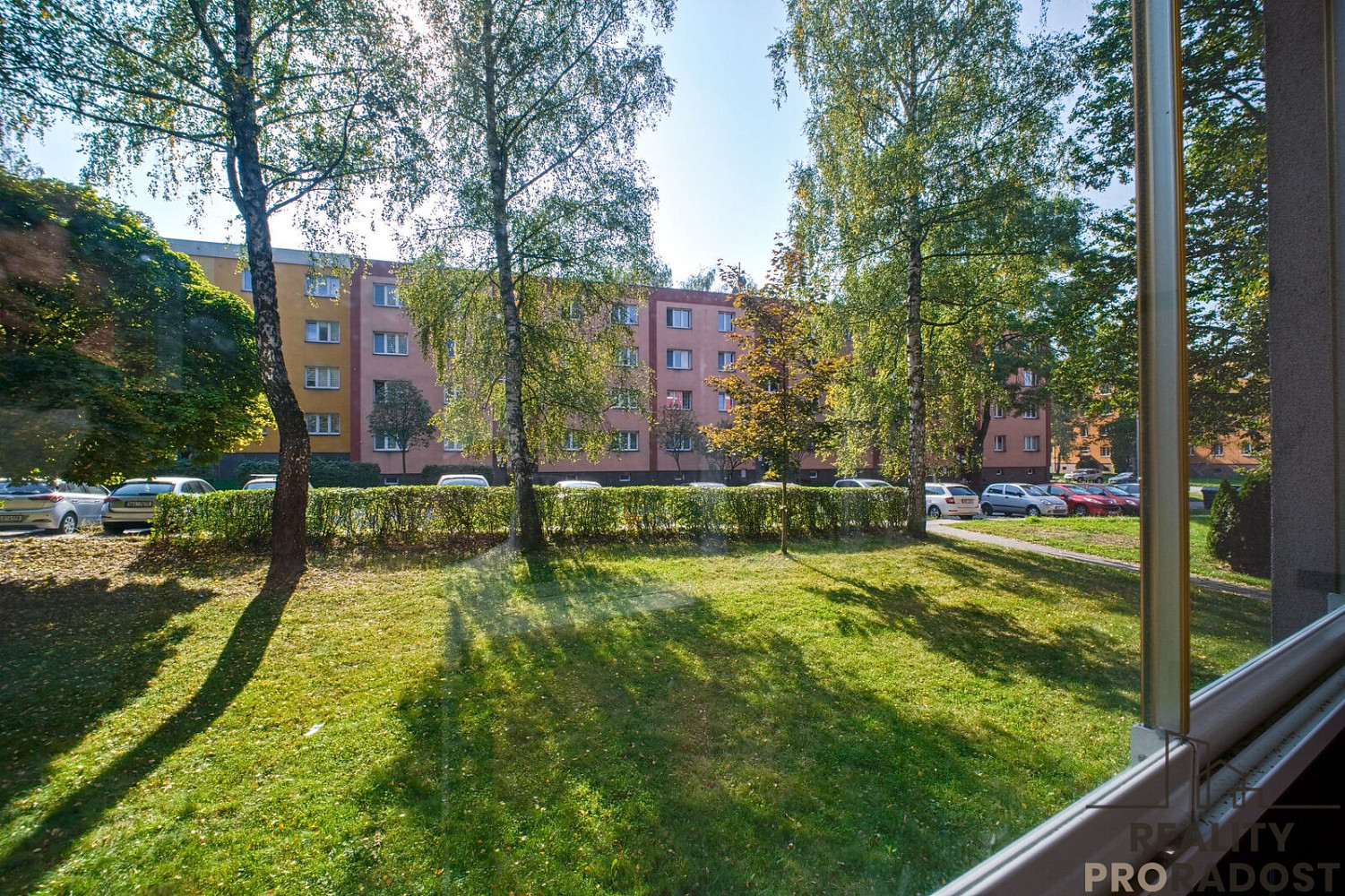 Fotka 19 z 19