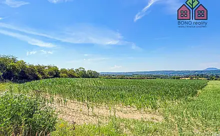 Prodej pole 41 291 m², Štětí - Počeplice, okres Litoměřice