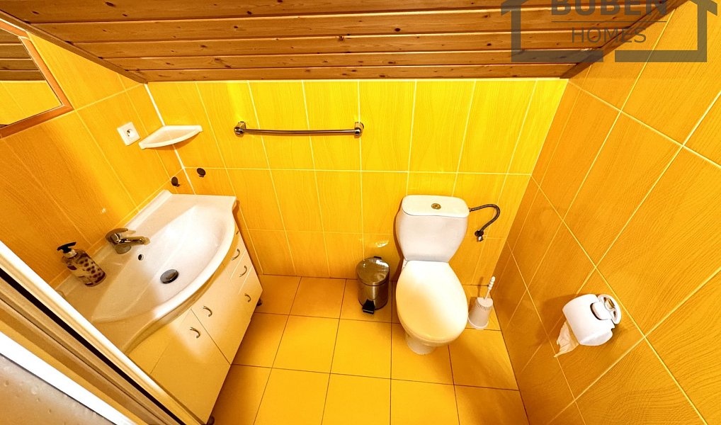 Prodej domu 480 m² s pozemkem 1 077 m², Tachov – náhled fotky 54