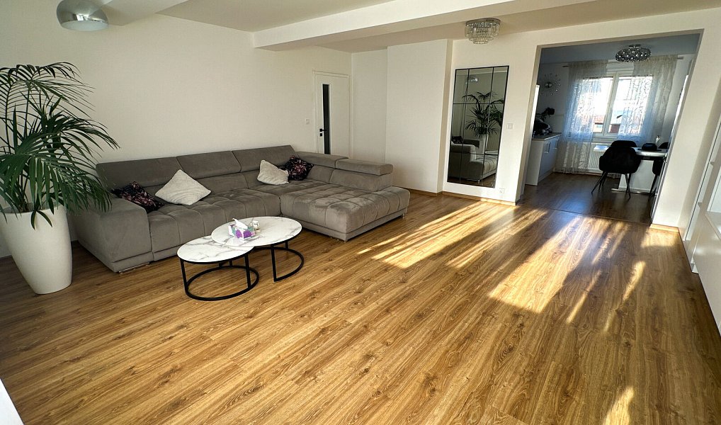 Prodej domu 300 m² s pozemkem 154 m², Tachov – náhled fotky 16