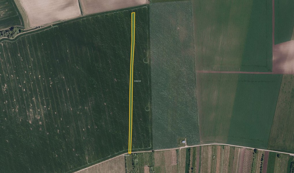 Prodej pole 6 586 m², Morkůvky – náhled fotky 2