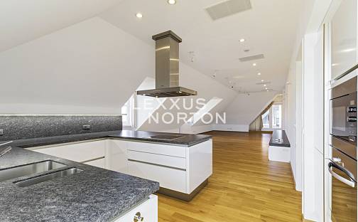 Pronájem bytu 6+kk 269 m², Novomlýnská, Praha 1 - Nové Město