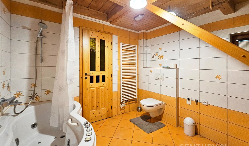 Prodej domu 131 m² s pozemkem 49 321 m², Držková – náhled fotky 6
