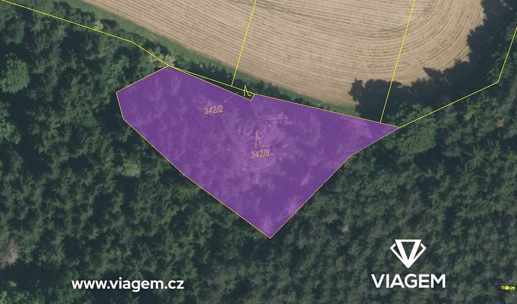 Prodej lesa 1 508 m², Ostrovec – náhled fotky 4