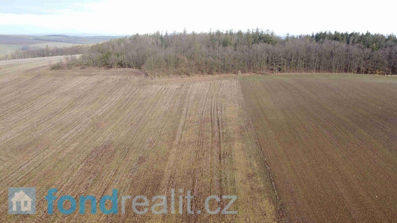 Prodej pole 2 574 m² – fotografie 4