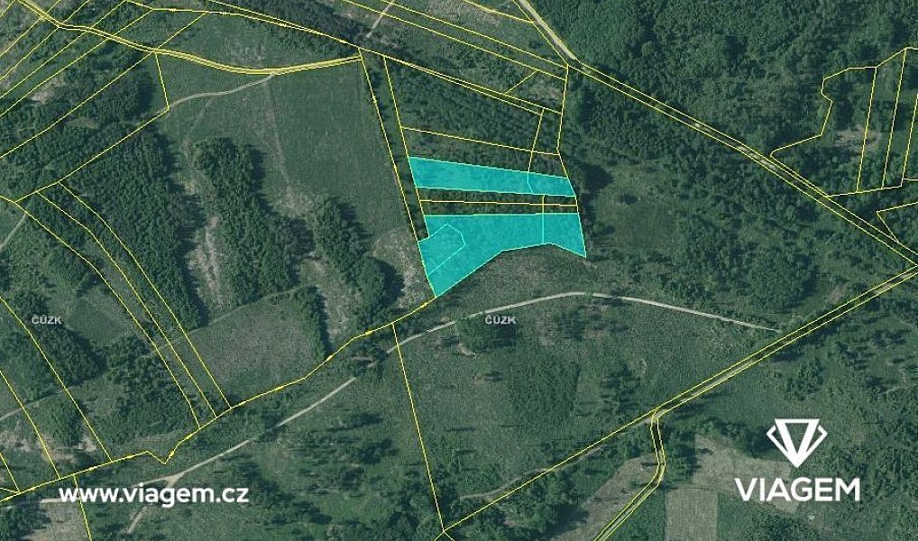 Prodej lesa 13 651 m², Dačice – náhled fotky 3