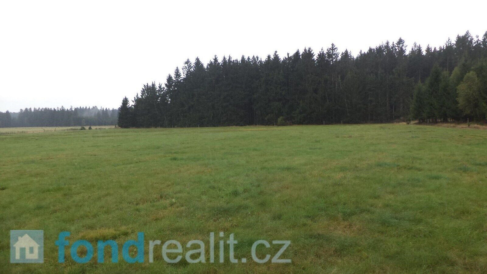 Prodej pozemku 10 628 m² – fotografie 4