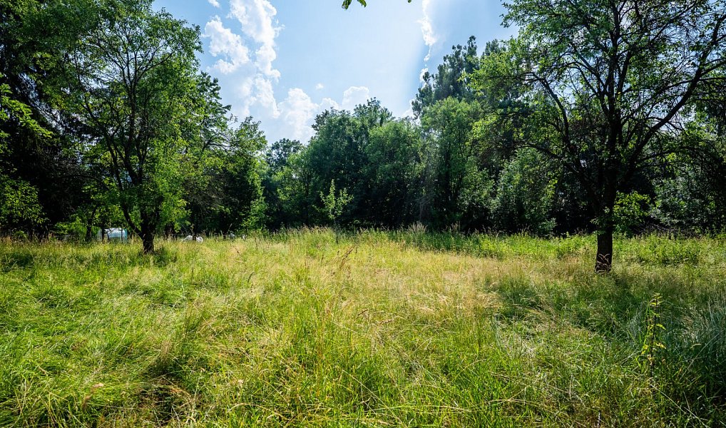 Prodej stavebního pozemku 2 790 m², Valašské Klobouky – náhled fotky 10