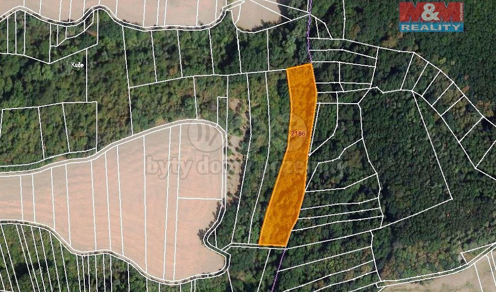Prodej pozemku 5 685 m², Újezdec – náhled fotky 4