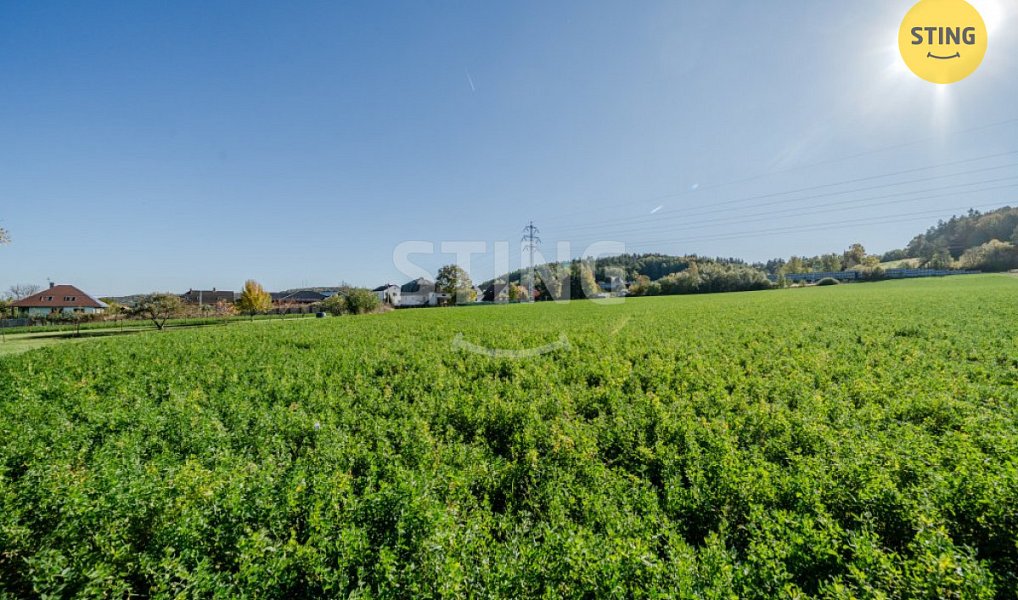 Prodej stavebního pozemku 4 000 m², Mokré Lazce – náhled fotky 12