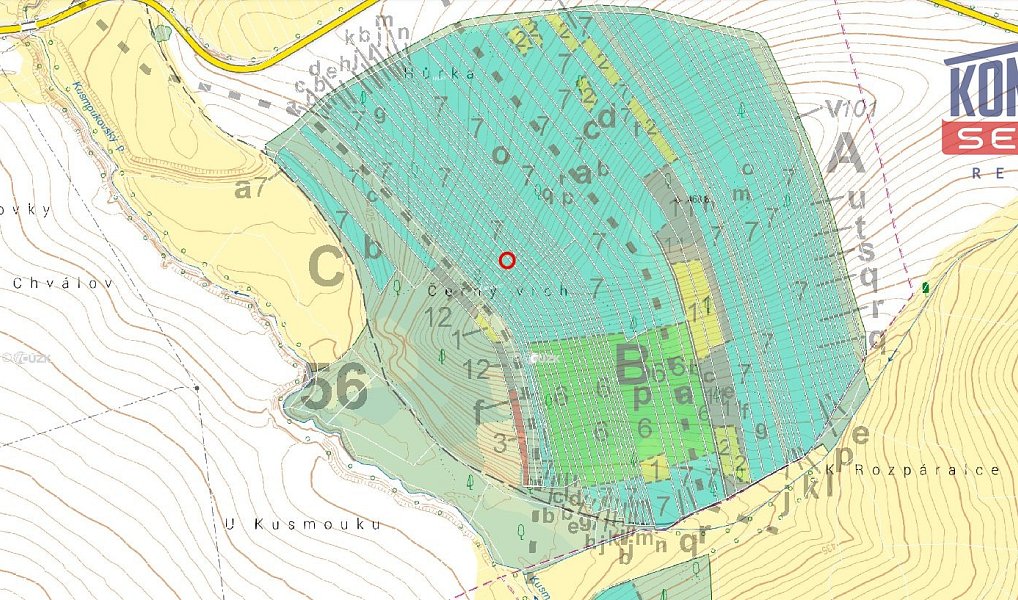 Prodej lesa 4 786 m², Janovice nad Úhlavou – náhled fotky 3